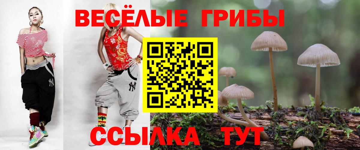 Десногорск  Галлюциногенные грибы MAGIC MUSHROOMS  Вход с VPN 